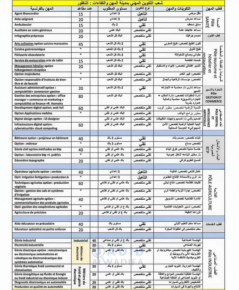  الشعب الموجودة ب CMC الناظور والبكالوريا المطلوبة